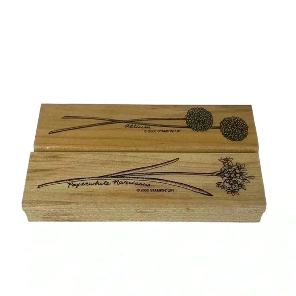 STAMPIN UP STEM FLOWER ALLIUM PAPERWHITE NARCISSUS WOOD MOUNT RUBBER STAMPS - Picture 1 of 8